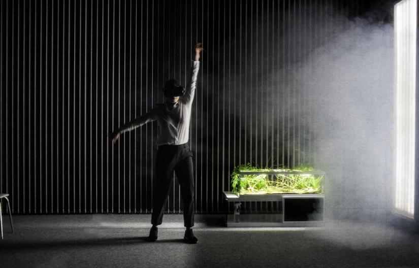 29497177_1648731118537312_9033734547683127454_n